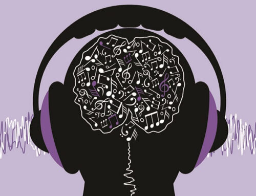 Our brains appear uniquely tuned for musical pitch
