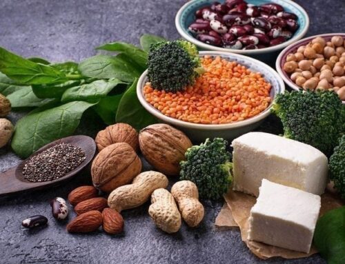 Plant Protein Linked to Longer Life