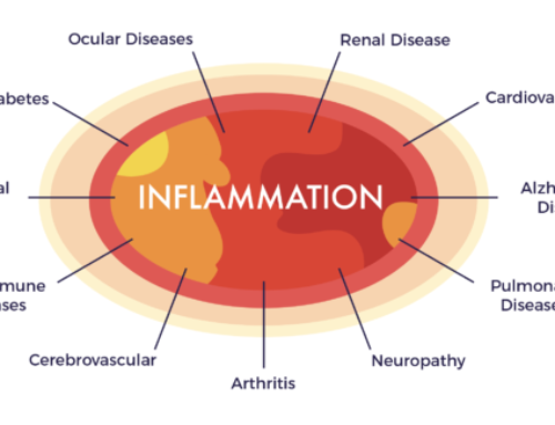 Inflammation May Be the Root of Our Maladies