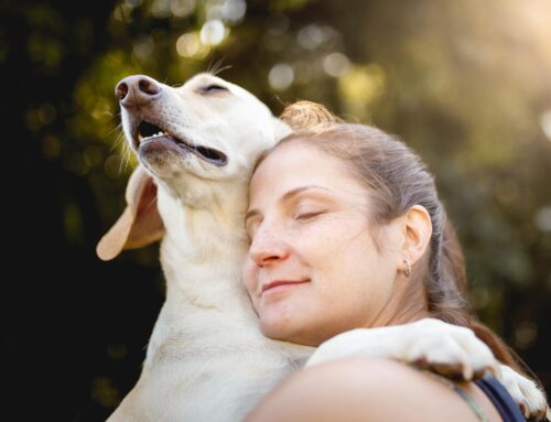 Scientists Reveal Where the Brain Feels Love—and Which Type Is Strongest